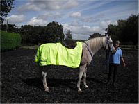 Zhiwah ready for the weather in his Prize rug
